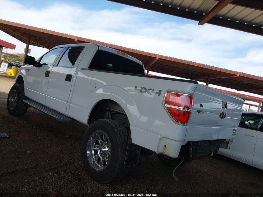2012 FORD F-150 VIN: 1FTFW1EF7CFC63955