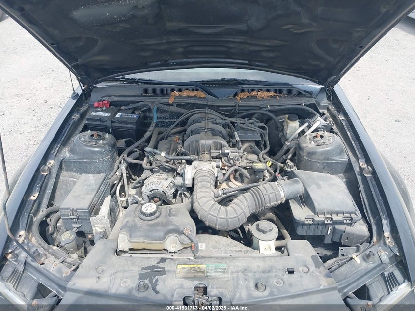 2009 Ford Mustang V6/V6 Premium VIN: 1ZVHT80N195128300 Lot: 41931763