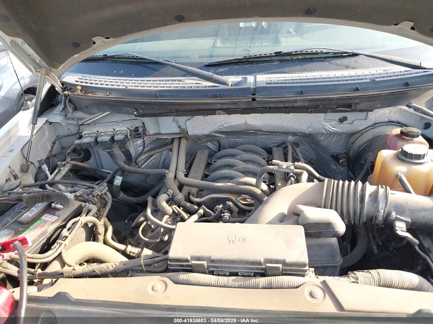 2012 FORD F150 VIN: 1FTFX1CFXCKE18652