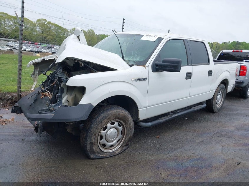 2013 FORD F150 VIN: 1FTFW1CF1DKE95110