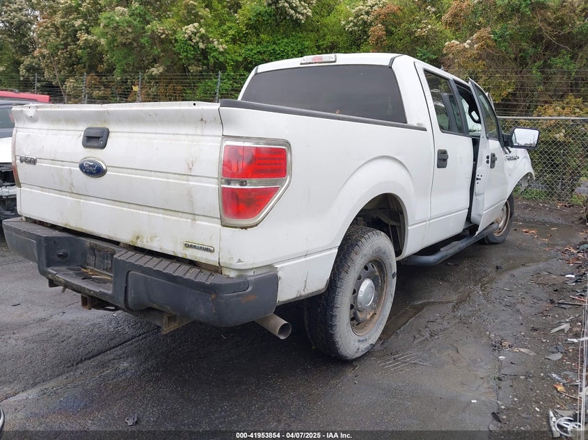 2013 FORD F150 VIN: 1FTFW1CF1DKE95110