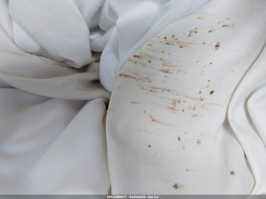 2010 Ford Fusion Se VIN: 3FAHP0HA6AR408506 Lot: 41960377