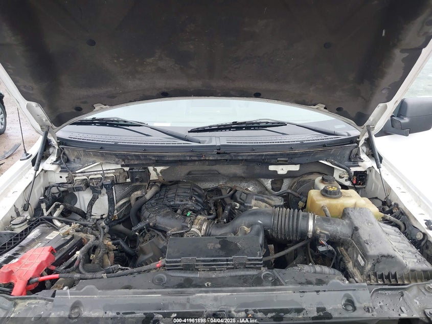2012 FORD F-150 VIN: 1FTMF1CM4CKE25654