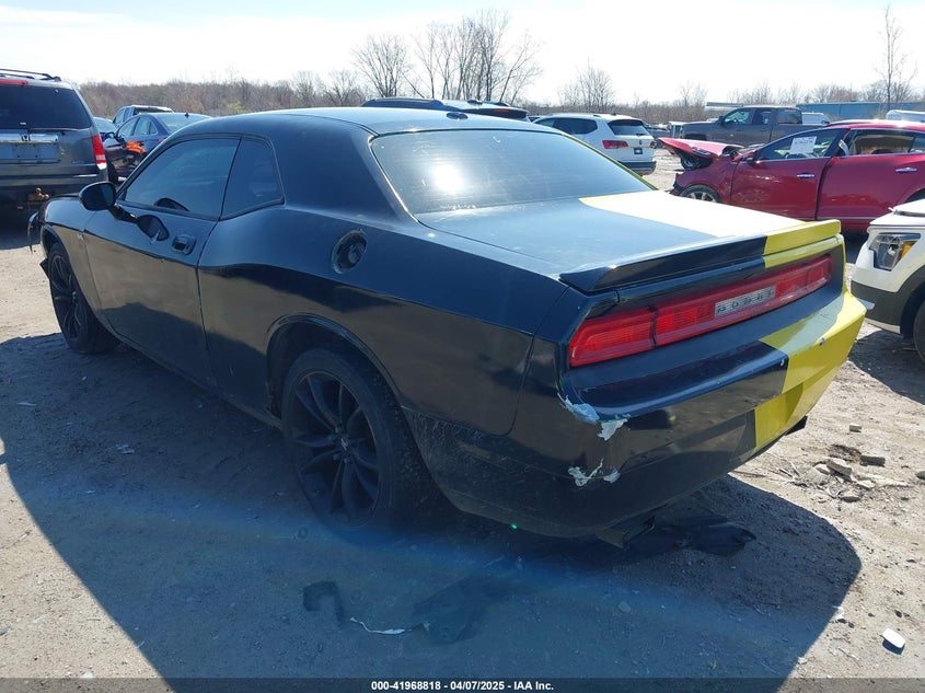 2010 DODGE CHALLENGER VIN: 2B3CJ4DV2AH141240