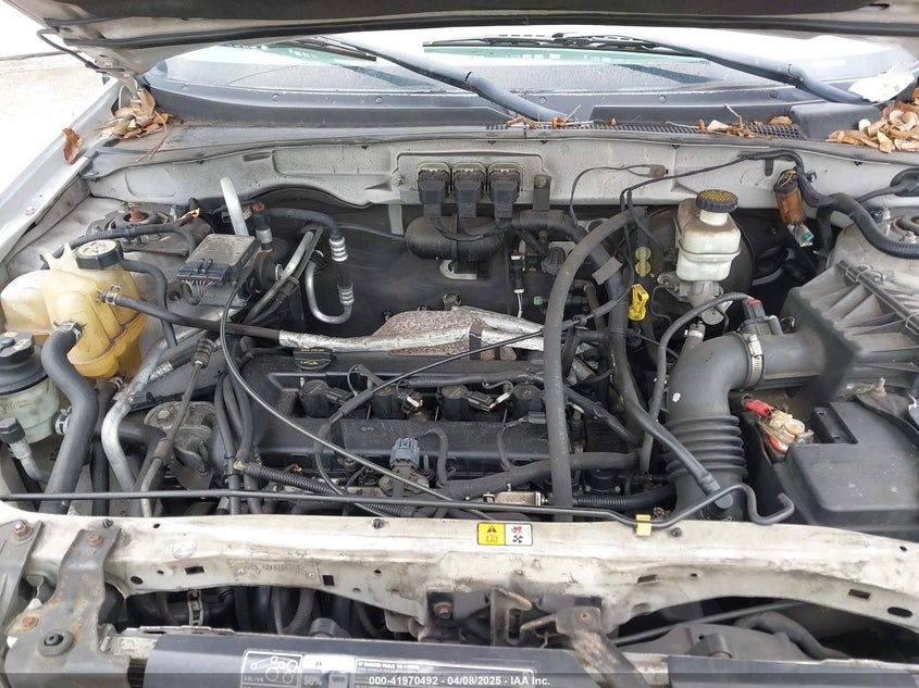 2006 FORD ESCAPE VIN: 1FMYU03Z96KB10071