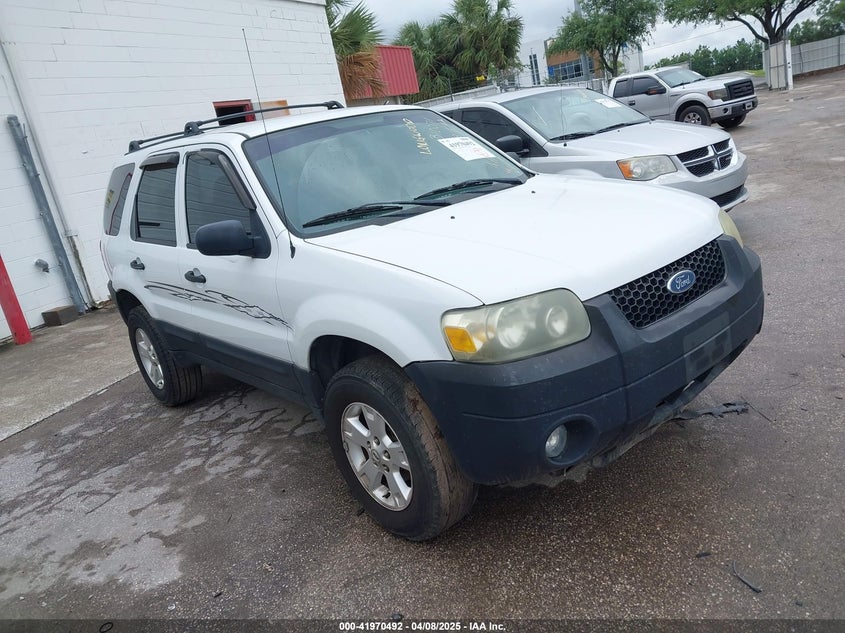 2006 FORD ESCAPE VIN: 1FMYU03Z96KB10071