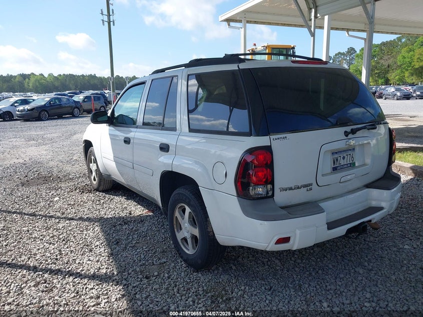 2006 CHEVROLET TRAILBLAZER VIN: 1GNDS13SX62217669