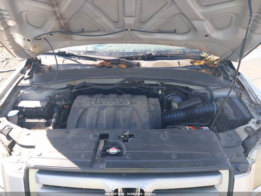 2006 HONDA PILOT VIN: 5FNYF284X6B035076