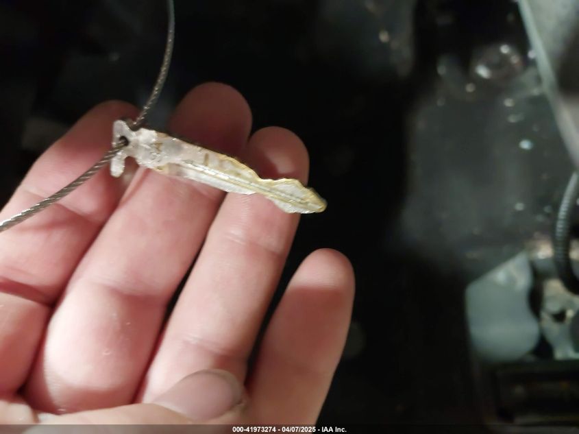 2011 Ford F-150 Xlt VIN: 1FTFX1EF9BFD31488 Lot: 41973274