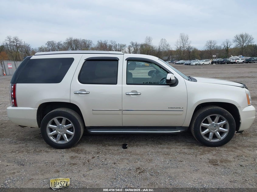 2010 GMC Yukon Denali VIN: 1GKUKEEFXAR289234 Lot: 41973433
