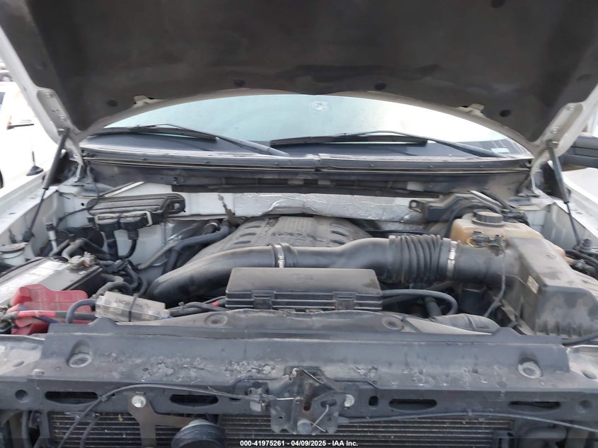 2013 FORD F150 VIN: 1FTFW1ET3DKD71956