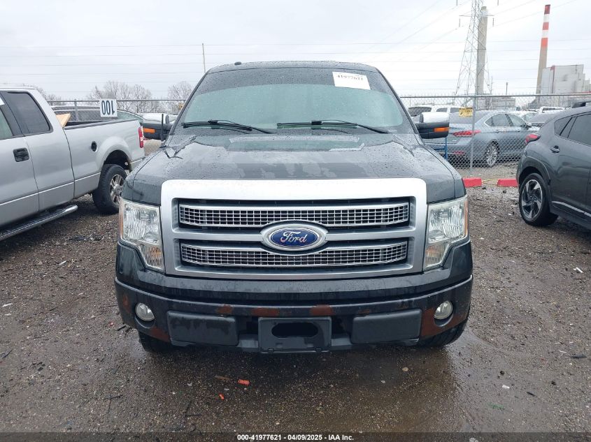 2010 Ford F-150 Fx4/Harley-Davidson/King Ranch/Lariat/Platinum/Xl/Xlt VIN: 1FTFW1EVXAFD42072 Lot: 41977621