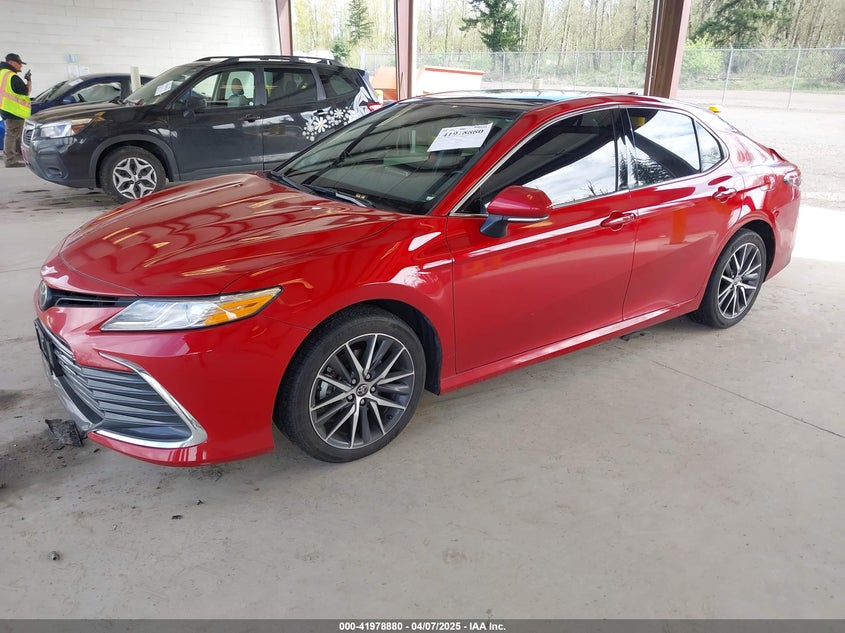 2023 TOYOTA CAMRY VIN: 4T1F11BK0PU074917