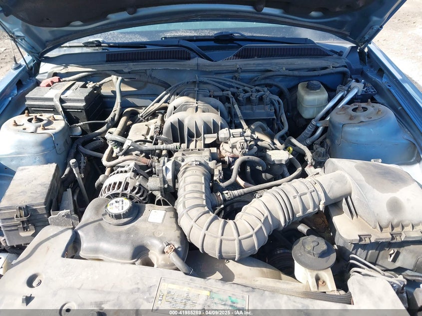 2008 FORD MUSTANG VIN: 1ZVHT80NX85135471