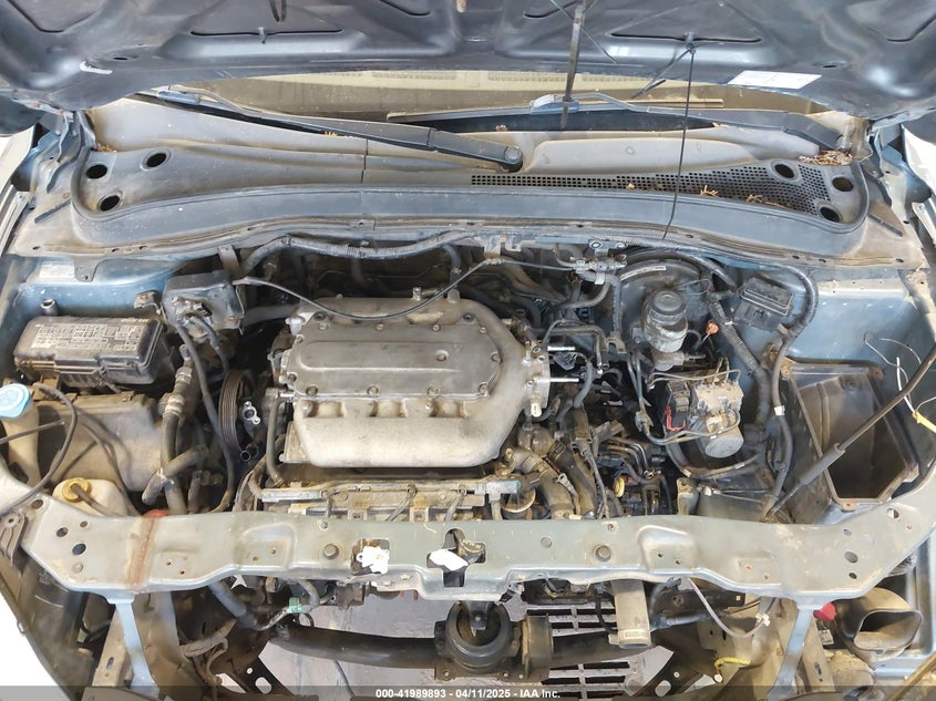 2005 Honda Pilot Ex-L VIN: 5FNYF18695B034396 Lot: 41989893