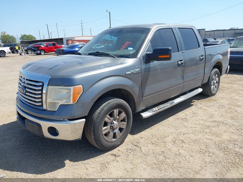 2010 FORD F-150 VIN: 1FTFW1CV3AFD03701