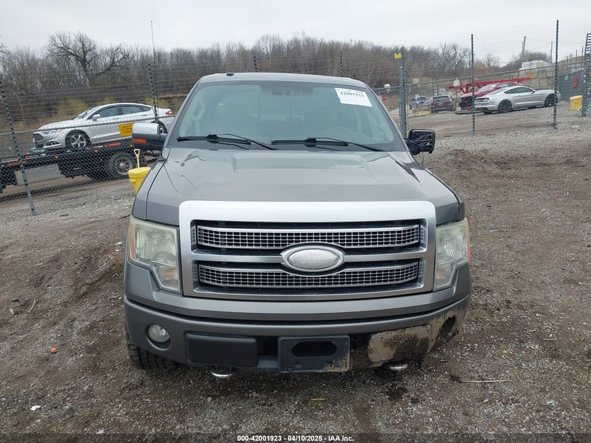 2009 FORD F150 VIN: 1FTPW14V79FA66113
