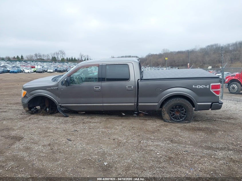 2009 FORD F150 VIN: 1FTPW14V79FA66113