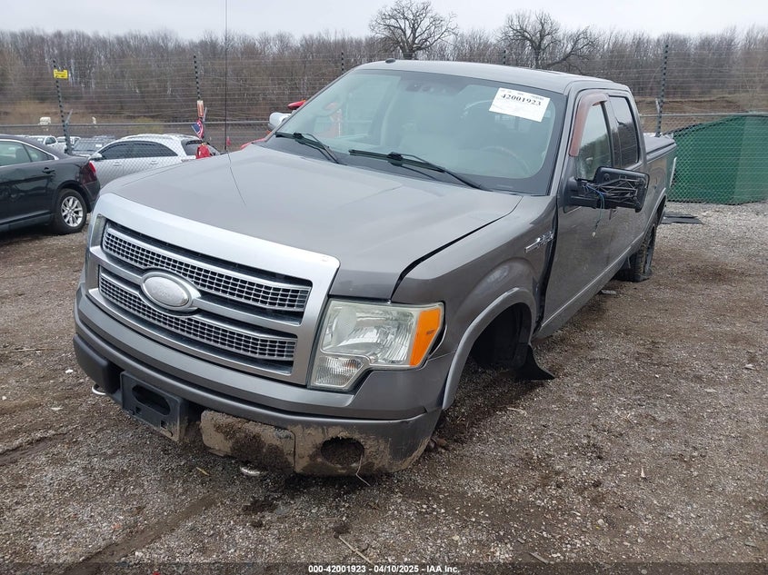 2009 FORD F150 VIN: 1FTPW14V79FA66113