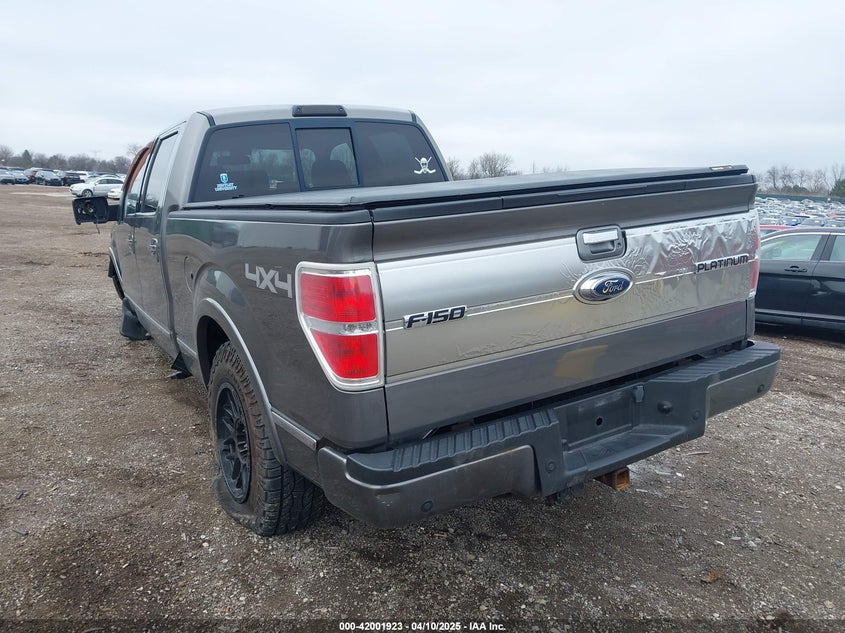 2009 FORD F150 VIN: 1FTPW14V79FA66113