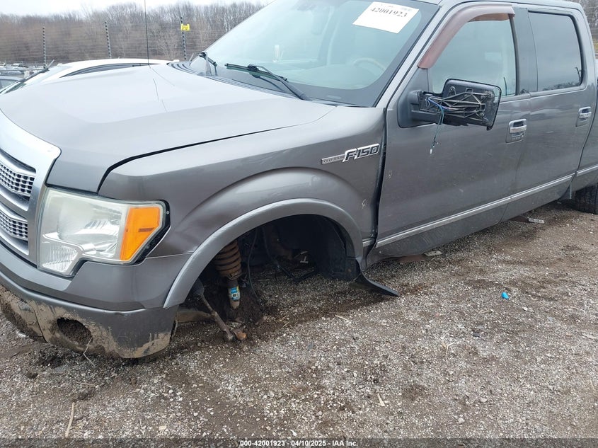 2009 FORD F150 VIN: 1FTPW14V79FA66113