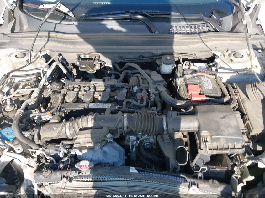 2019 HONDA ACCORD VIN: 1HGCV1F36KA057288