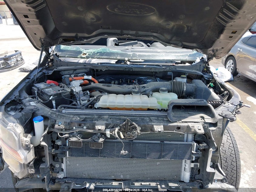 VIN 1FTFW3LDXRFA08772 2024 FORD F-150 XLT