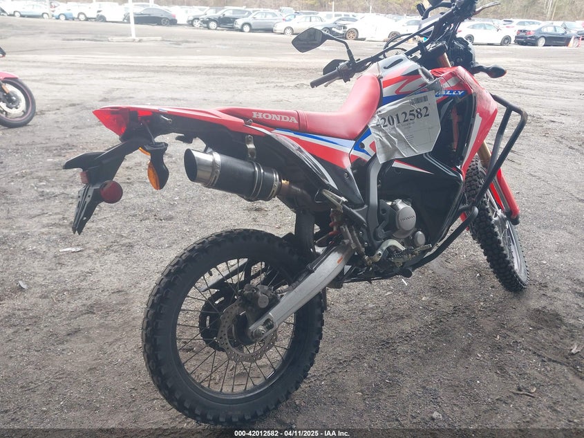 2024 HONDA CRF300(VIN: MLHND1645R5300365