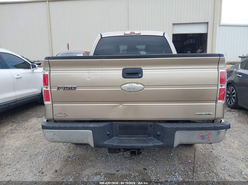 2011 Ford F-150 Xlt VIN: 1FTEX1CM1BFC30250 Lot: 42012636