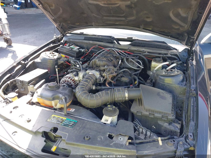 2005 Ford Mustang V6 Deluxe/V6 Premium VIN: 1ZVFT80N455122217 Lot: 42015083