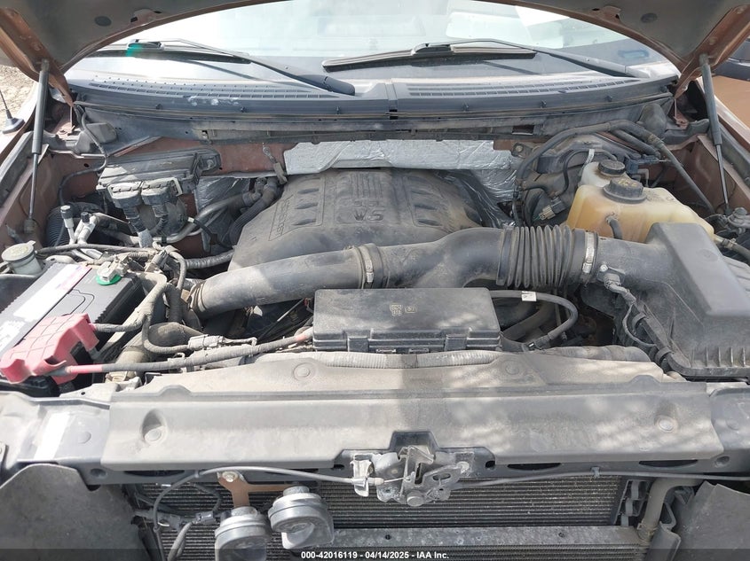 2011 FORD F-150 VIN: 1FTFX1ET9BKD67310