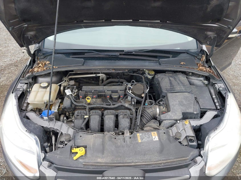 2014 FORD FOCUS SE - 1FADP3K28EL313161