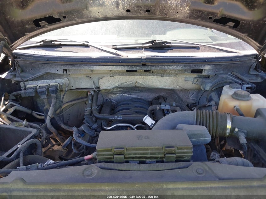 2013 Ford F-150 Xlt VIN: 1FTFX1EF4DFE09064 Lot: 42019665