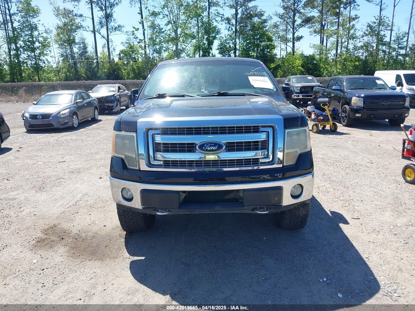 2013 Ford F-150 Xlt VIN: 1FTFX1EF4DFE09064 Lot: 42019665