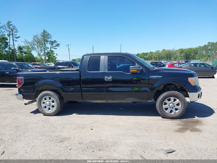 2013 Ford F-150 Xlt VIN: 1FTFX1EF4DFE09064 Lot: 42019665