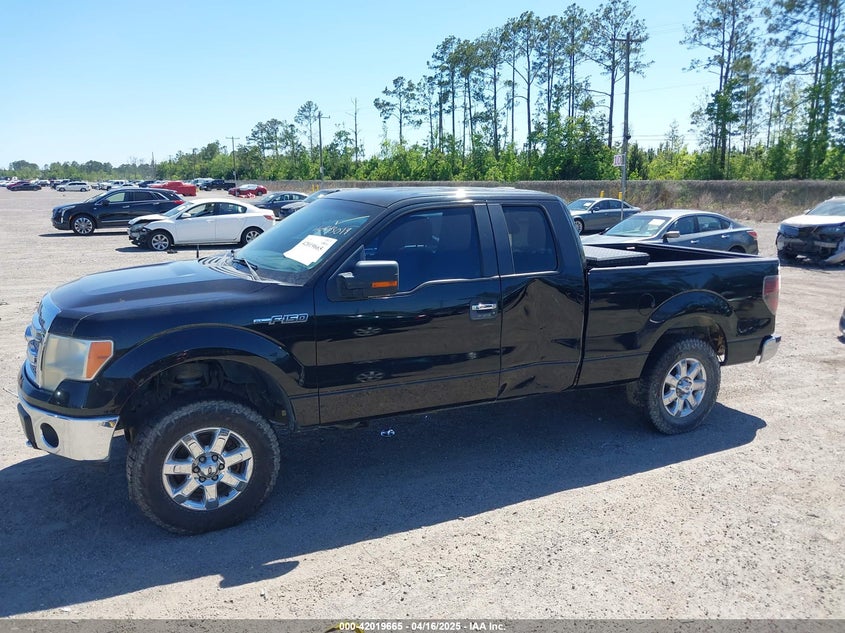 2013 Ford F-150 Xlt VIN: 1FTFX1EF4DFE09064 Lot: 42019665