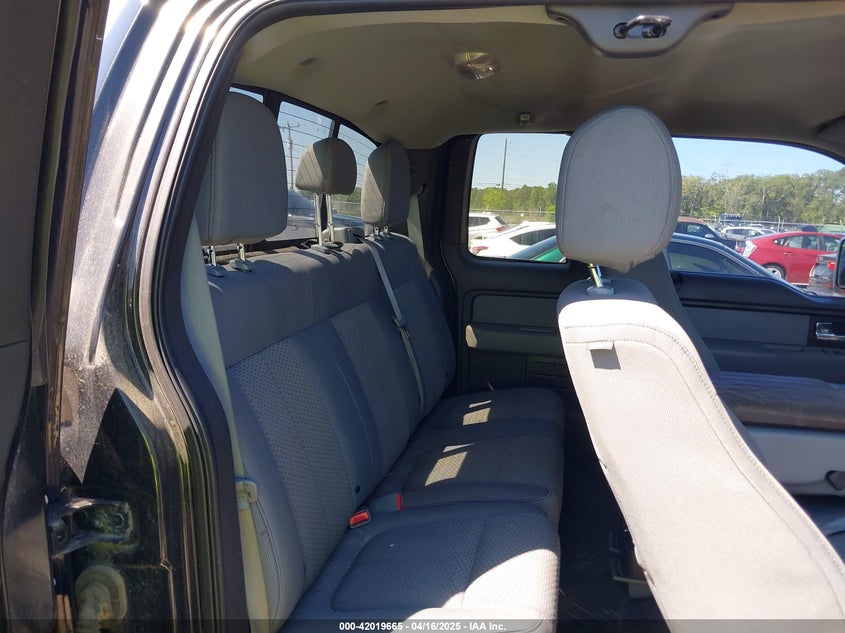 2013 Ford F-150 Xlt VIN: 1FTFX1EF4DFE09064 Lot: 42019665