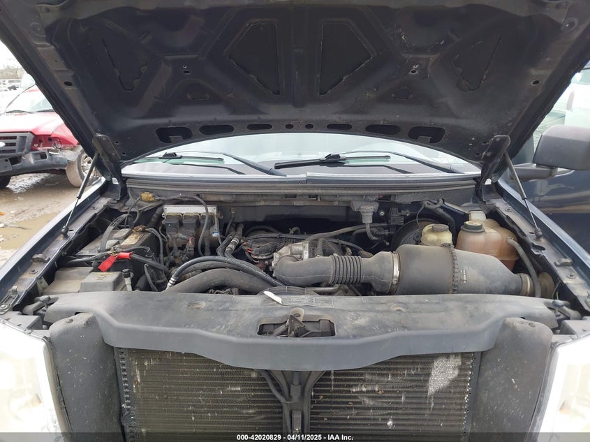 2006 FORD F-150 VIN: 1FTRF12296NB20983