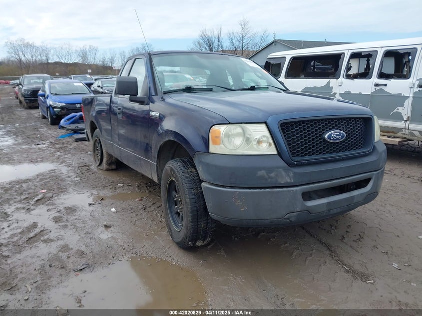 2006 FORD F-150 VIN: 1FTRF12296NB20983