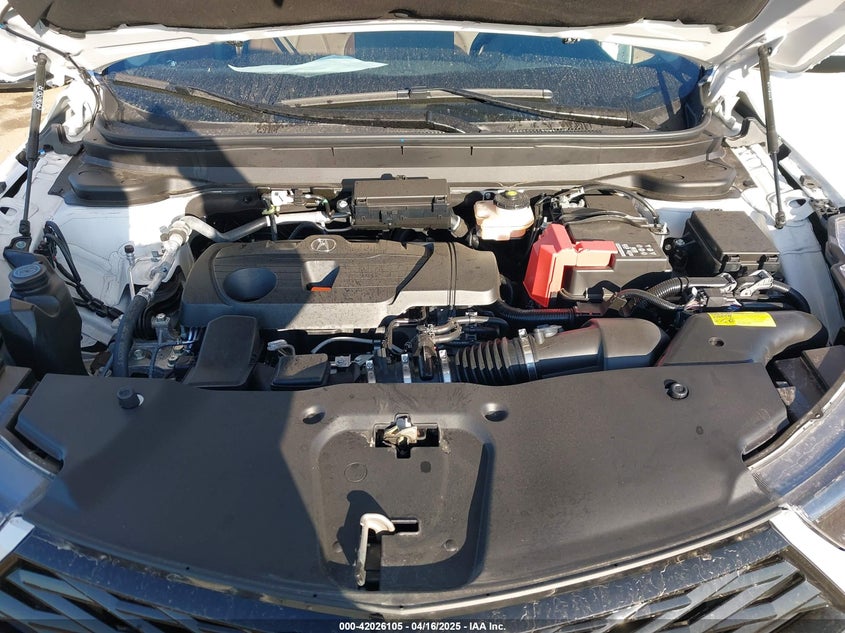 2025 ACURA RDX ADVANCE PACKAGE - 5J8TC2H70SL008488