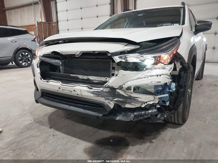 2024 SUBARU CROSSTREK VIN: JF2GUADC5R8325479
