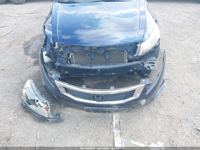 2010 HONDA ACCORD VIN: 1HGCP2F37AA119876