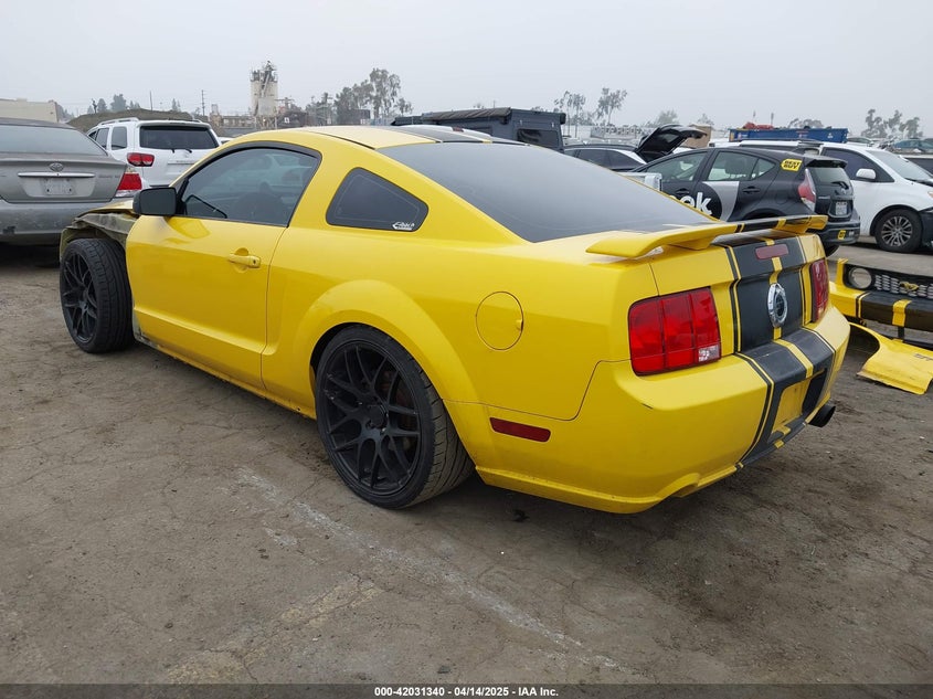2006 FORD MUSTANG VIN: 1ZVFT82H165206827