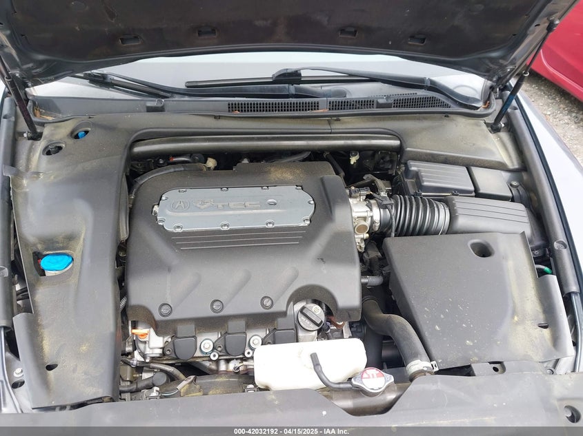 2006 ACURA 3.2TL VIN: 19UUA66296A023551