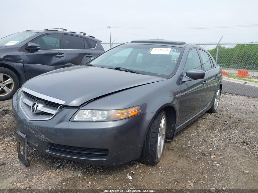 2006 ACURA 3.2TL VIN: 19UUA66296A023551