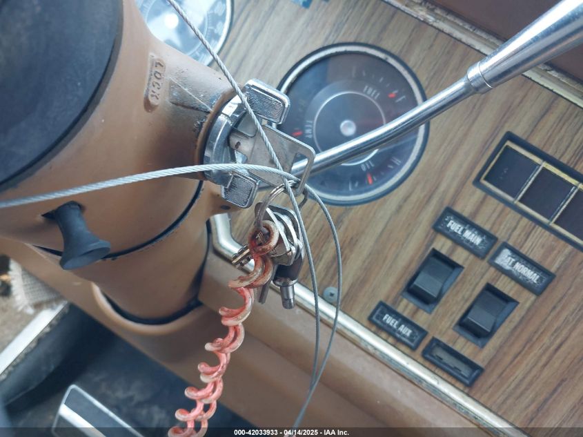 1974 GMC Eleganza VIN: 0000TZE064V101067 Lot: 42033933