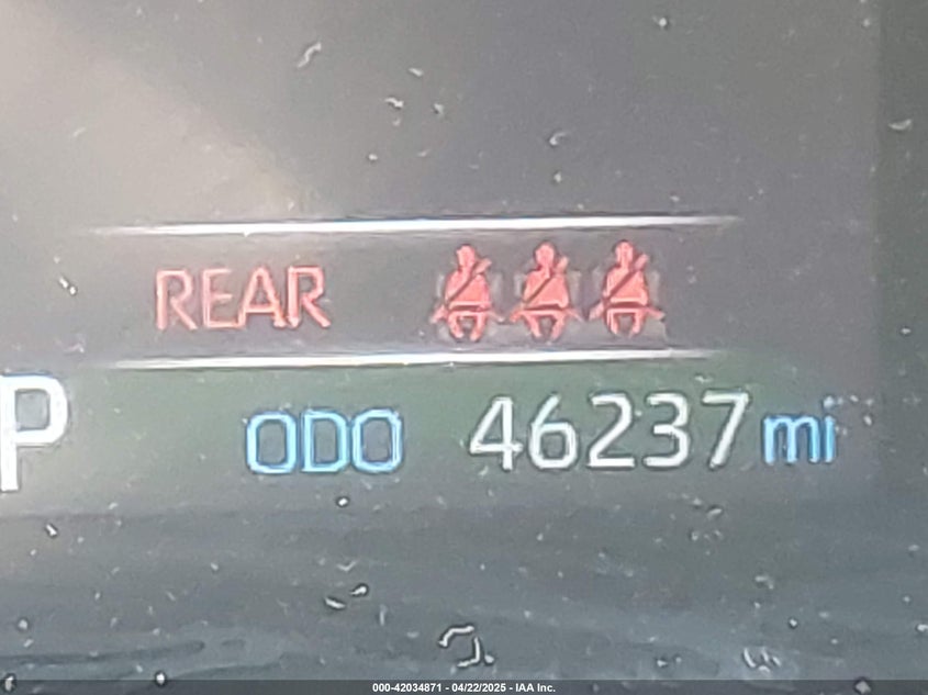 2019 TOYOTA RAV4 XLE - 2T3W1RFV8KW004648