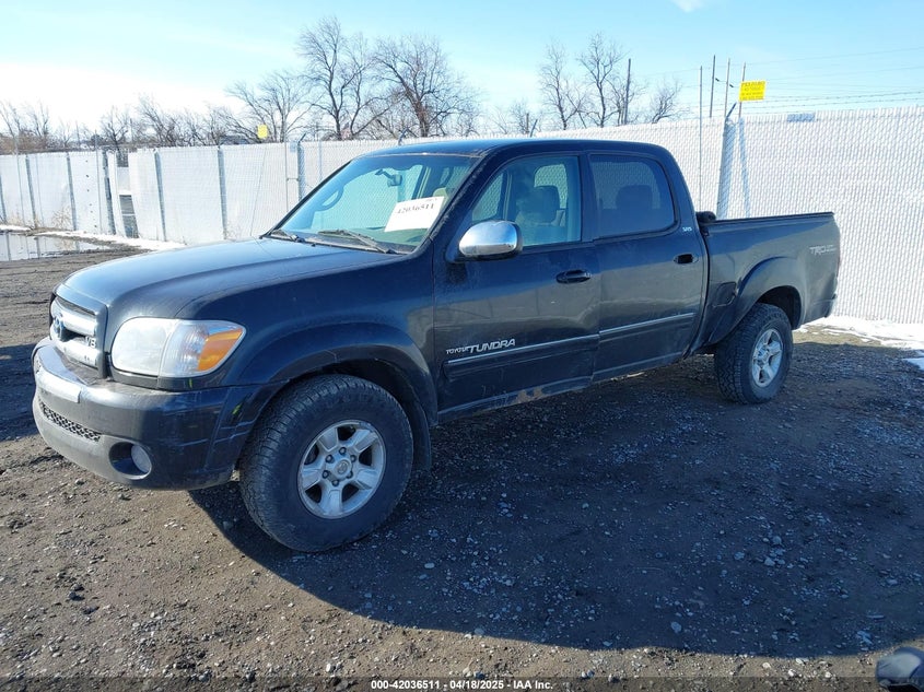2006 TOYOTA TUNDRA VIN: 5TBDT44176S519970