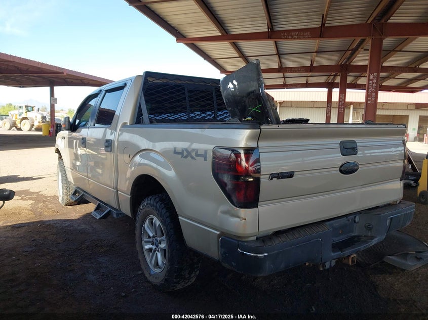 2009 FORD F-150 VIN: 1FTPW14V49FB27661