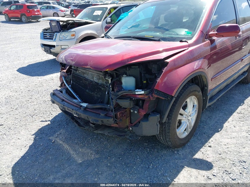 2010 HONDA CR-V VIN: 5J6RE4H7XAL061643